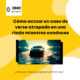 Cómo actuar en caso de verse atrapado en una riada mientras conduces