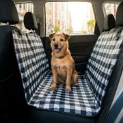 Cómo proteger la tapicería de tu coche al viajar con mascotas