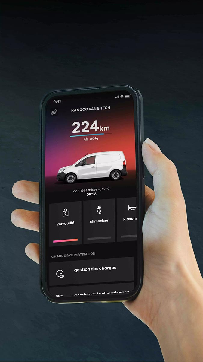 kangoo-furgon-etech11